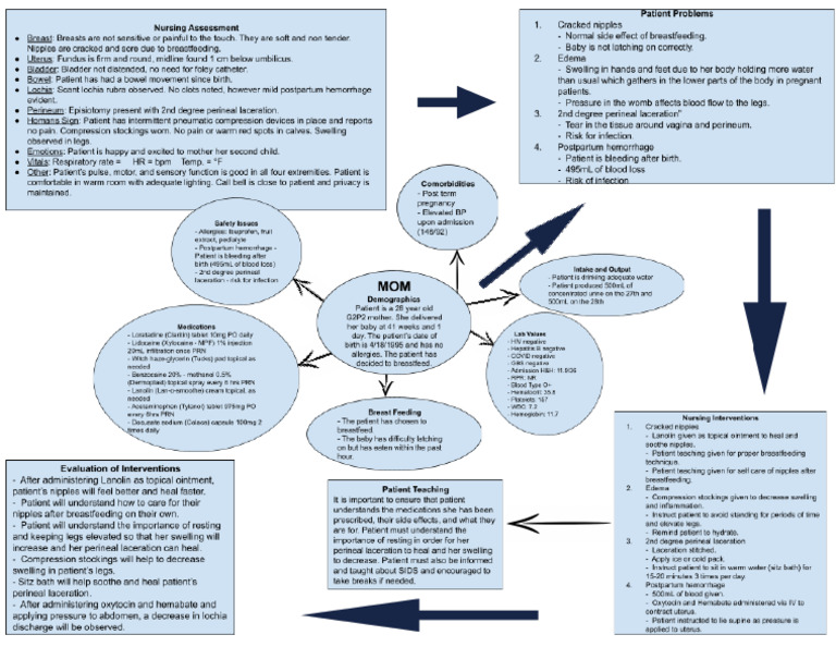 Mom Flow Chart - Maternity Clinicals SHU | PDF