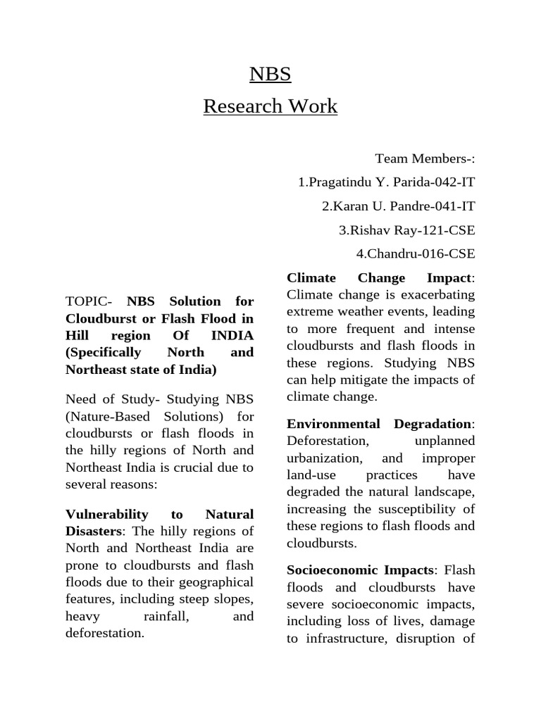 NBS Report | PDF