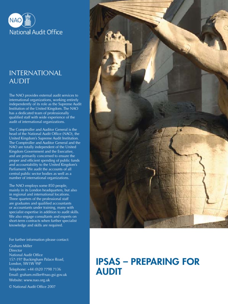 IPSAS Preparing For Audit | PDF | Intangible Asset | Goodwill (Accounting)