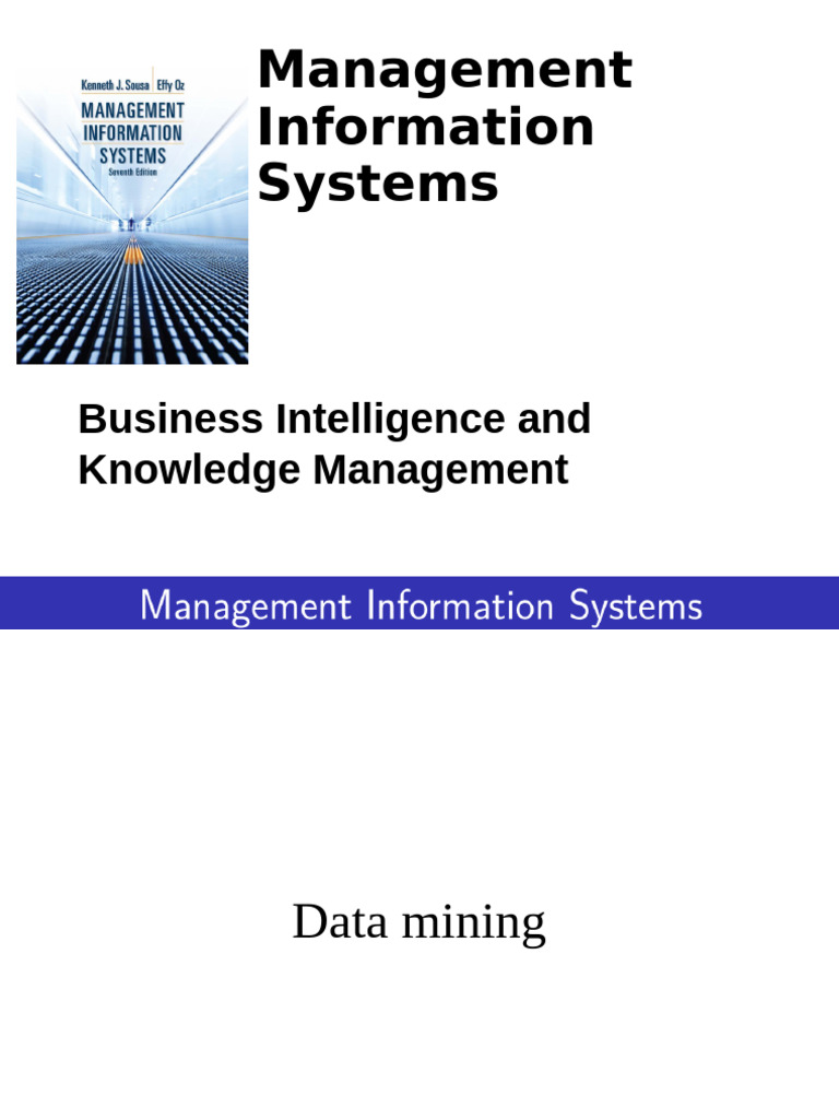 Management Information Systems: Business Intelligence and Knowledge ...