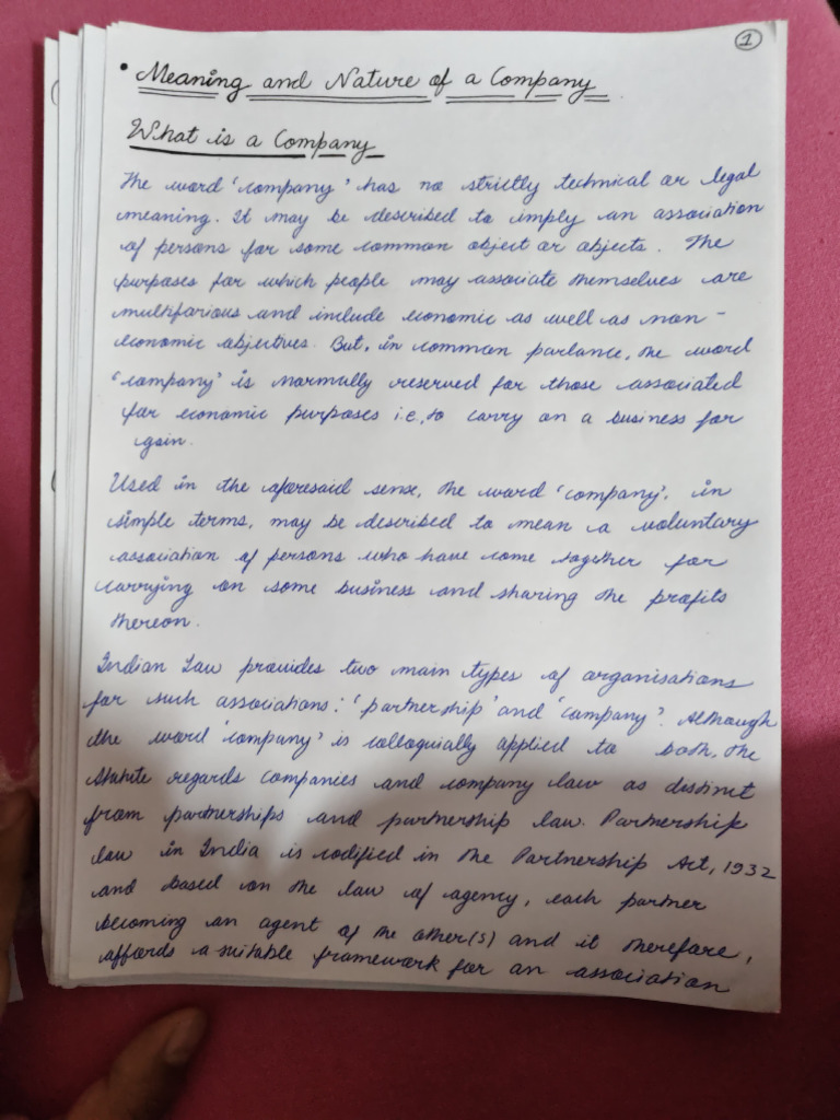 Meaning and Type of Company | PDF | Foreign Language Studies