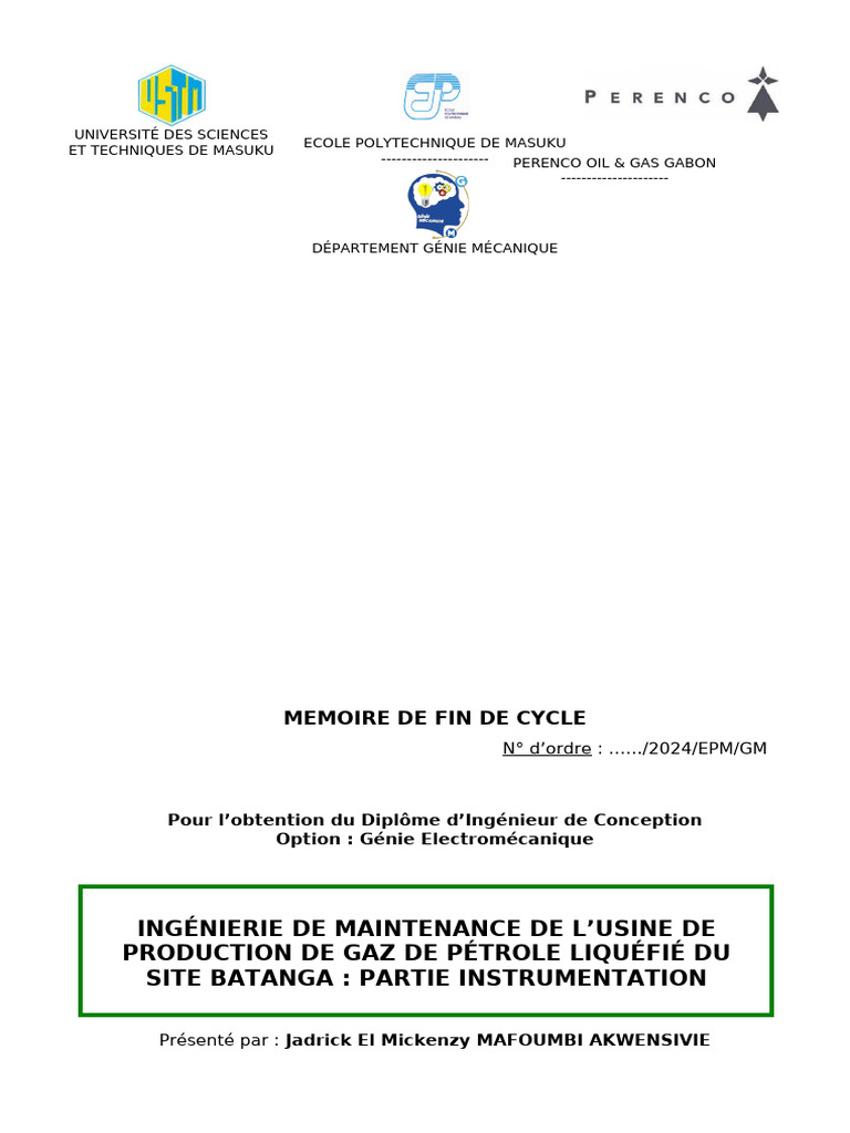 Mémoire - Copie | PDF