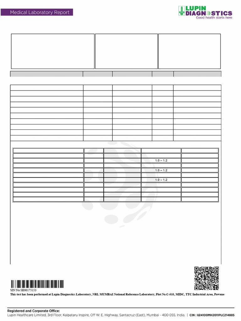 Report | PDF