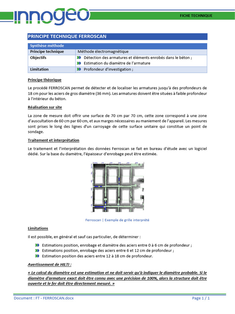 FT Innogeo Ferroscan | PDF