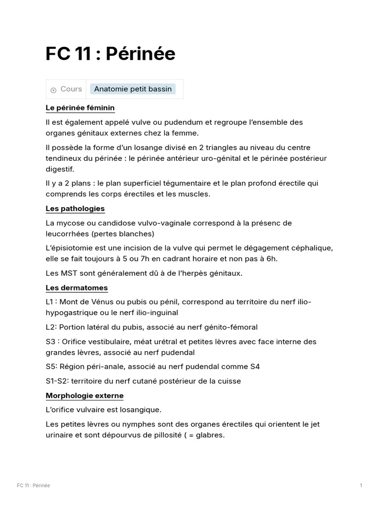 FC 11 Périnée | PDF