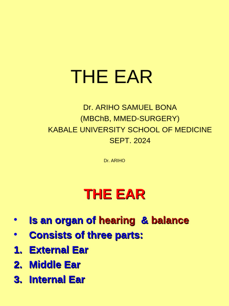 24.the Ear | PDF