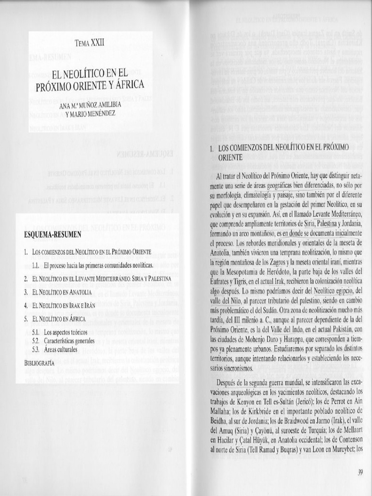 2000-El Neolitico en Proximo Oriente y Africa | PDF