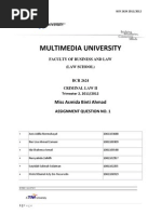 Criminal Law II Assignment - Finish