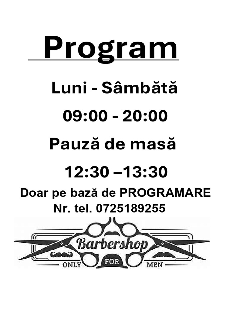 Program pdf