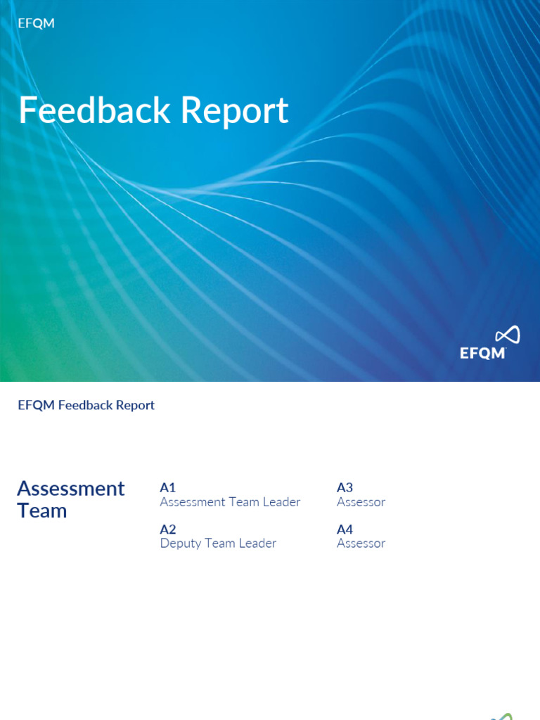 Full Feedback Report Example | PDF