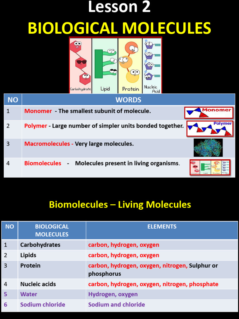 Biological Molecules | PDF