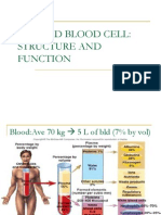 RBC Structure and Function