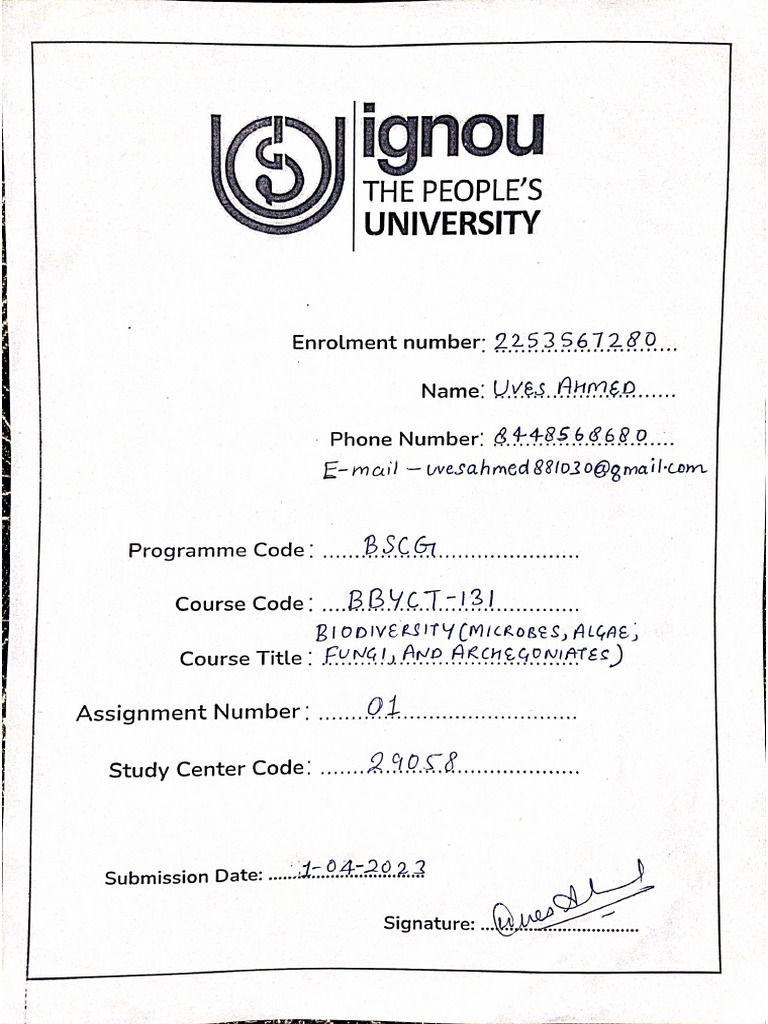 2253567280BBYCT131 | PDF