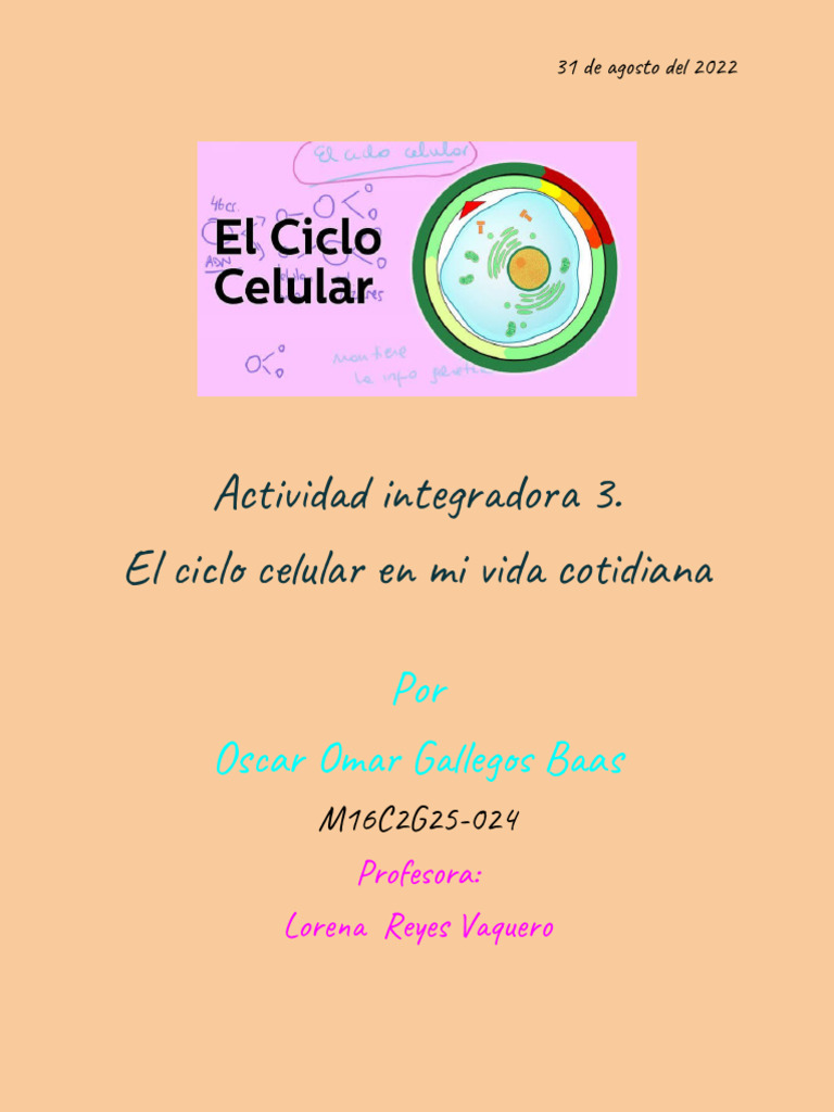 Actividad Integradora 3 | PDF