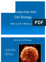 Cell Bio 1