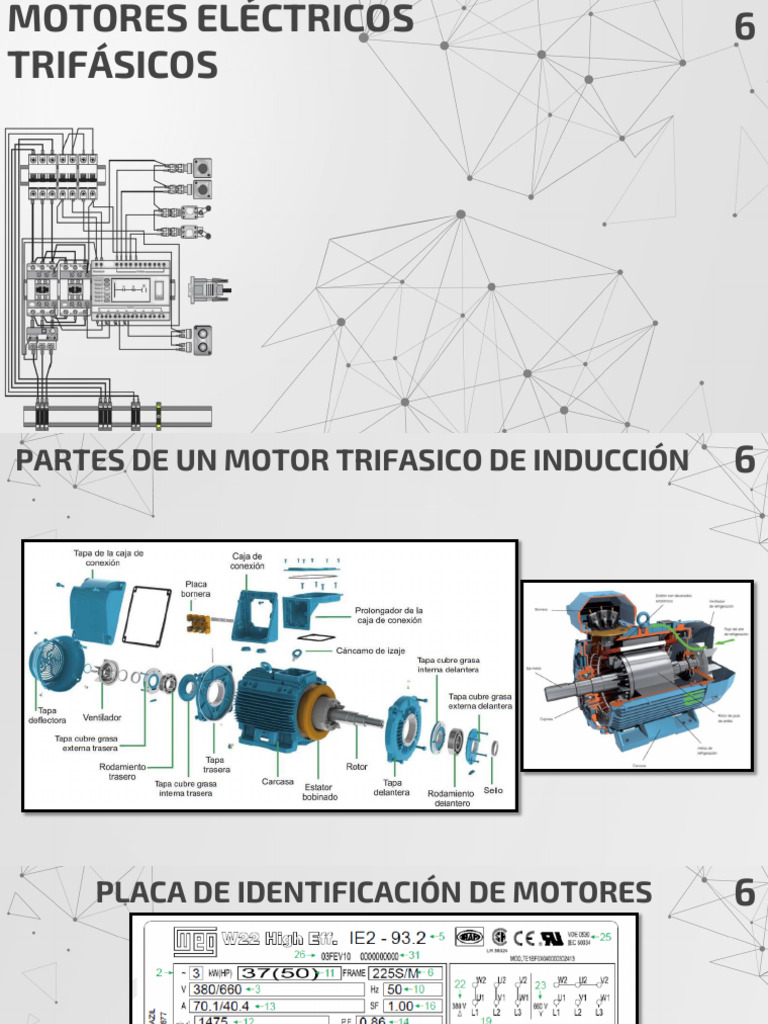 Módulo 6 - Motores Eléctricos Trifásicos | PDF