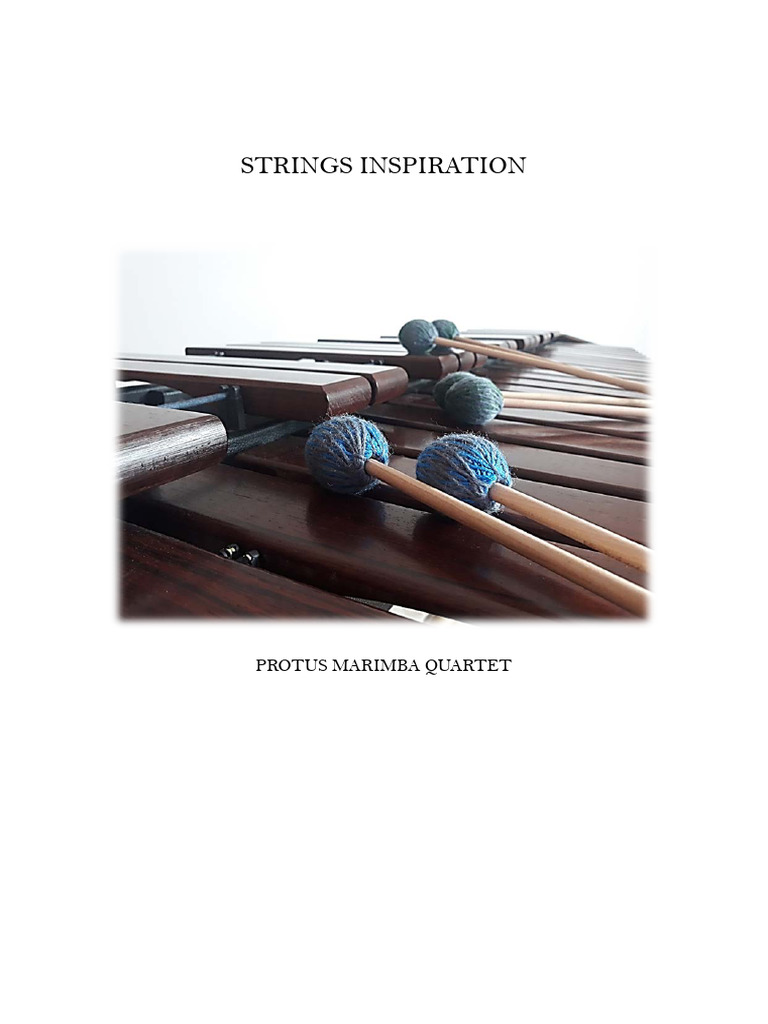 Portfolio Protus Marimba Quartet - Strings Inspiration | PDF