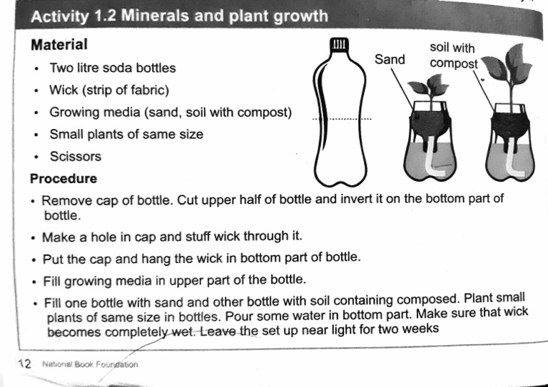 Science Activity | PDF