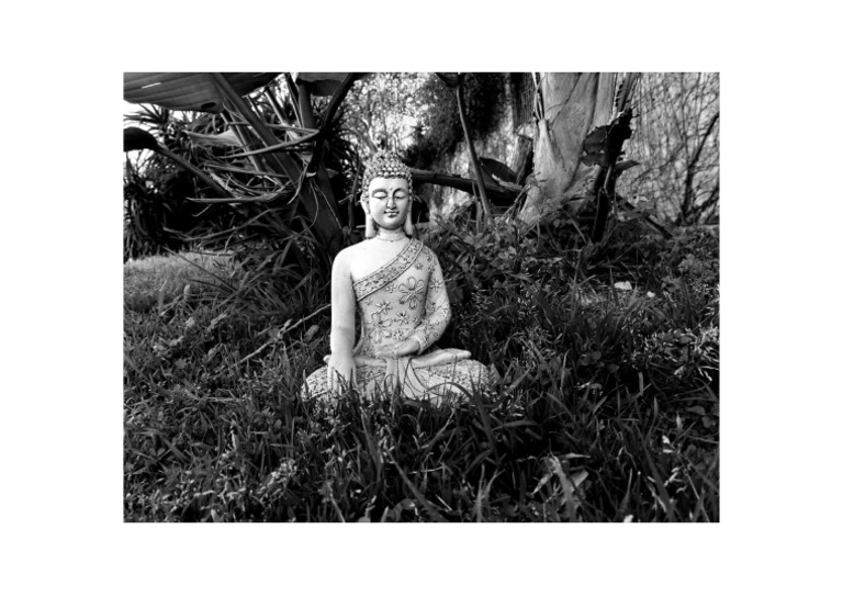Foto de Un Buda de La Paz | PDF