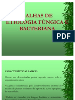 2) Galhas de Etiologia Fungica e Bacteriana