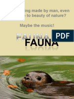 Fauna - Pictures of Animals and Insects