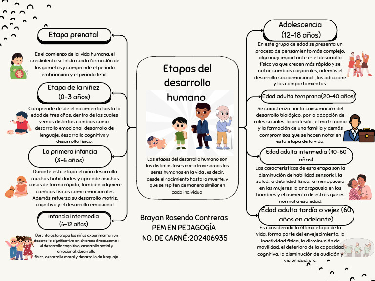 mapa conceptual desarrollo humano | PDF