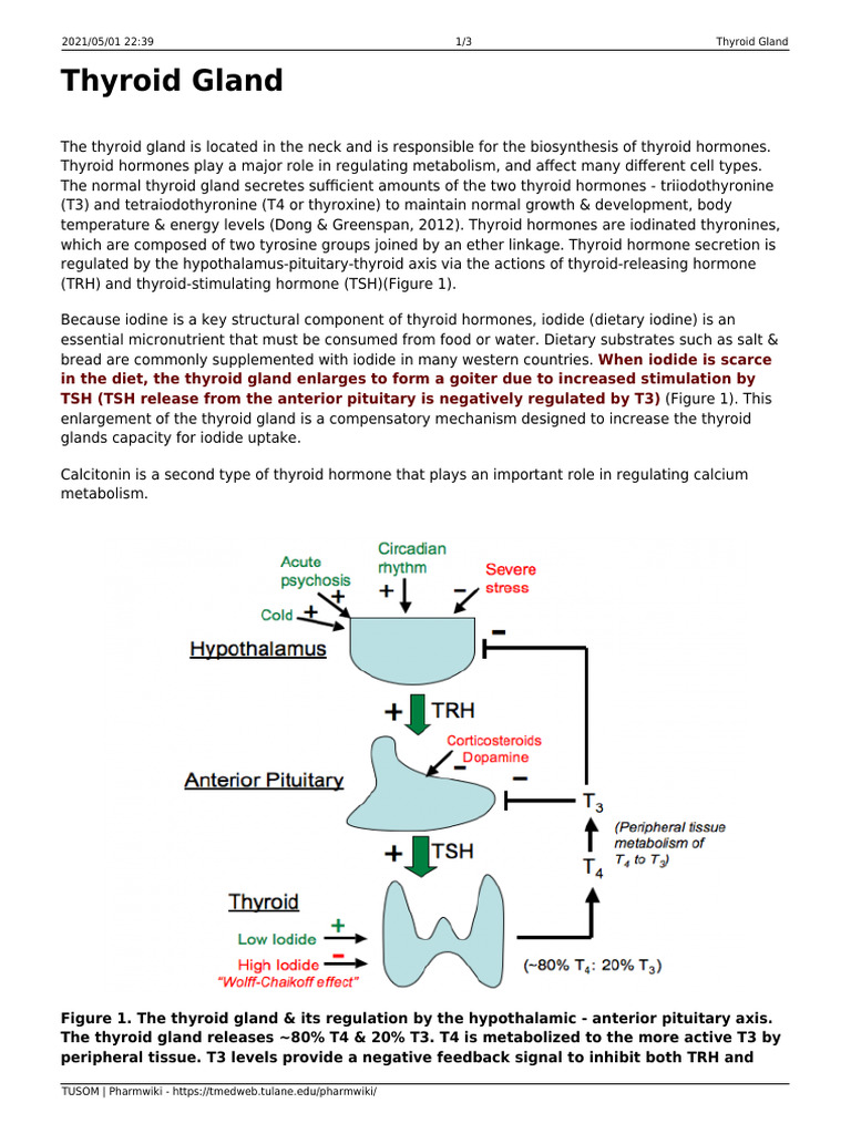 Thyroid Gland Pdf