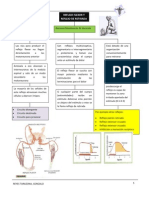 Mapa Conceptual Gonzalo Reyes Tarazona 7 Usp Barranca Peru USP