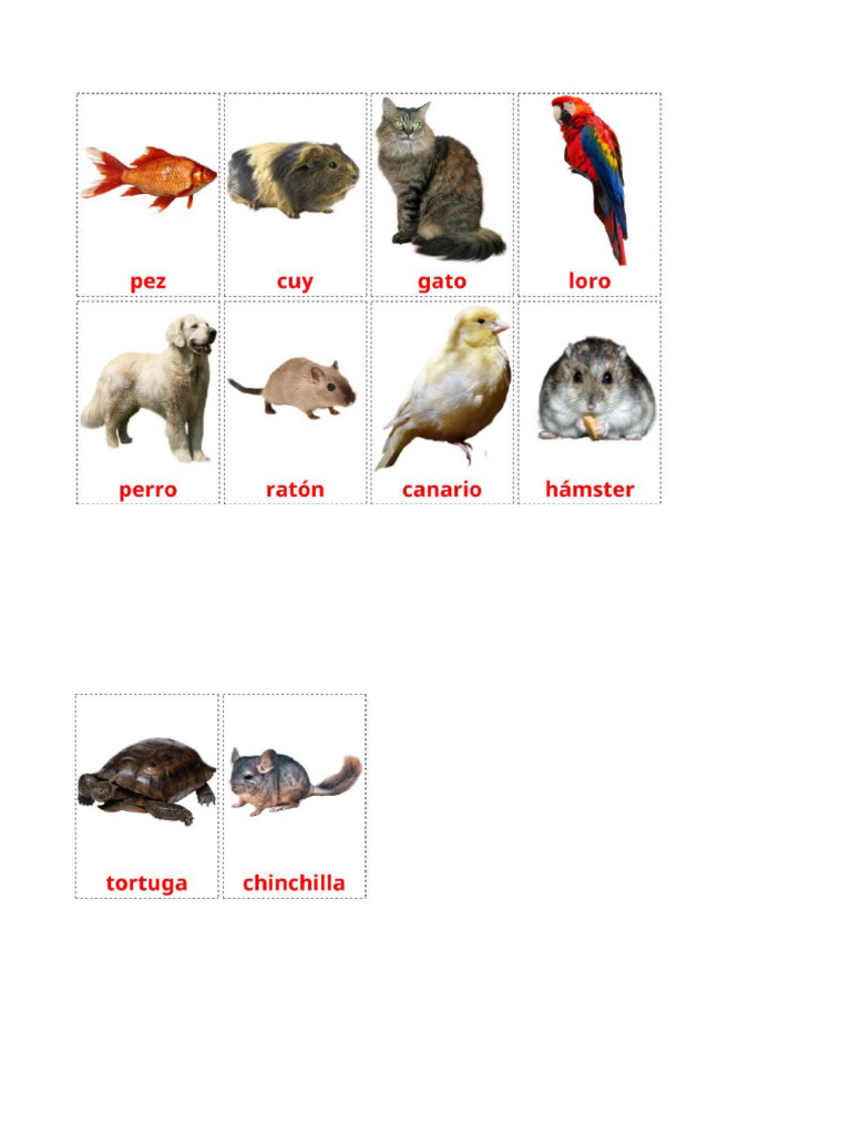 Animales | PDF