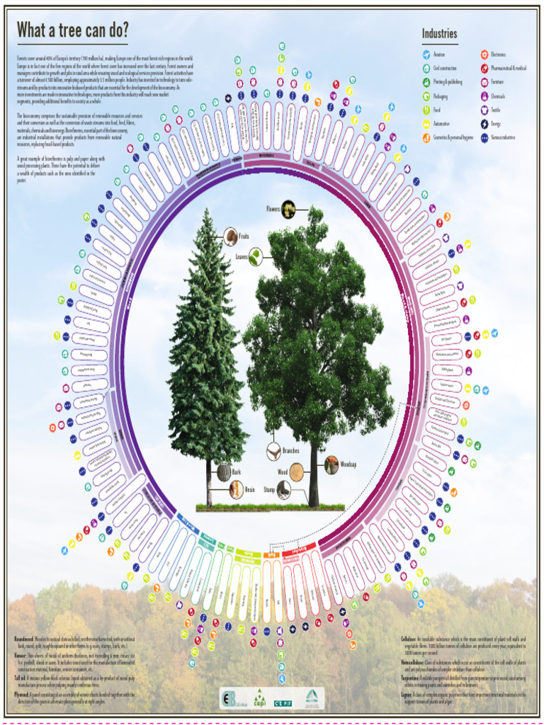 What A Tree Can Do Final - Compressed | PDF