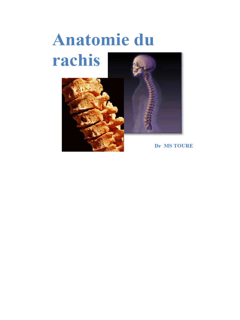 Anatomie Du Rachis MT | PDF