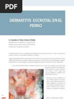 Download Dermatitis Escrotal en El Perro by Axoncomunicacion SN7687402 doc pdf