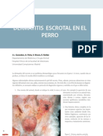 Dermatitis Escrotal en El Perro