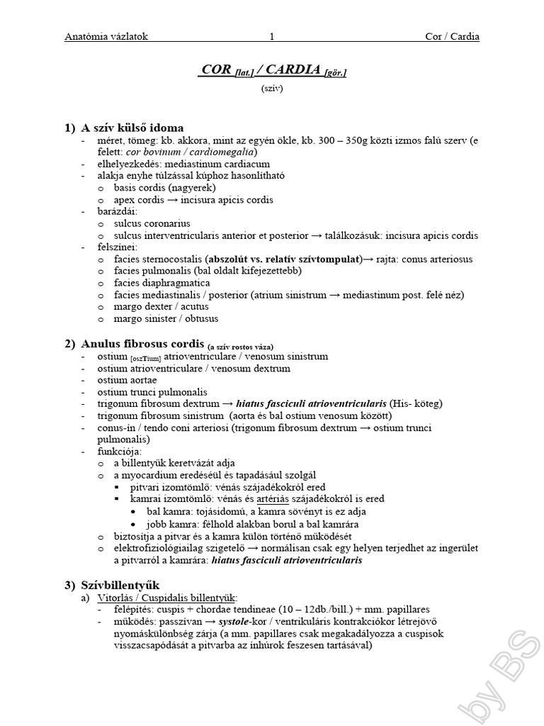 Cor 1 | PDF