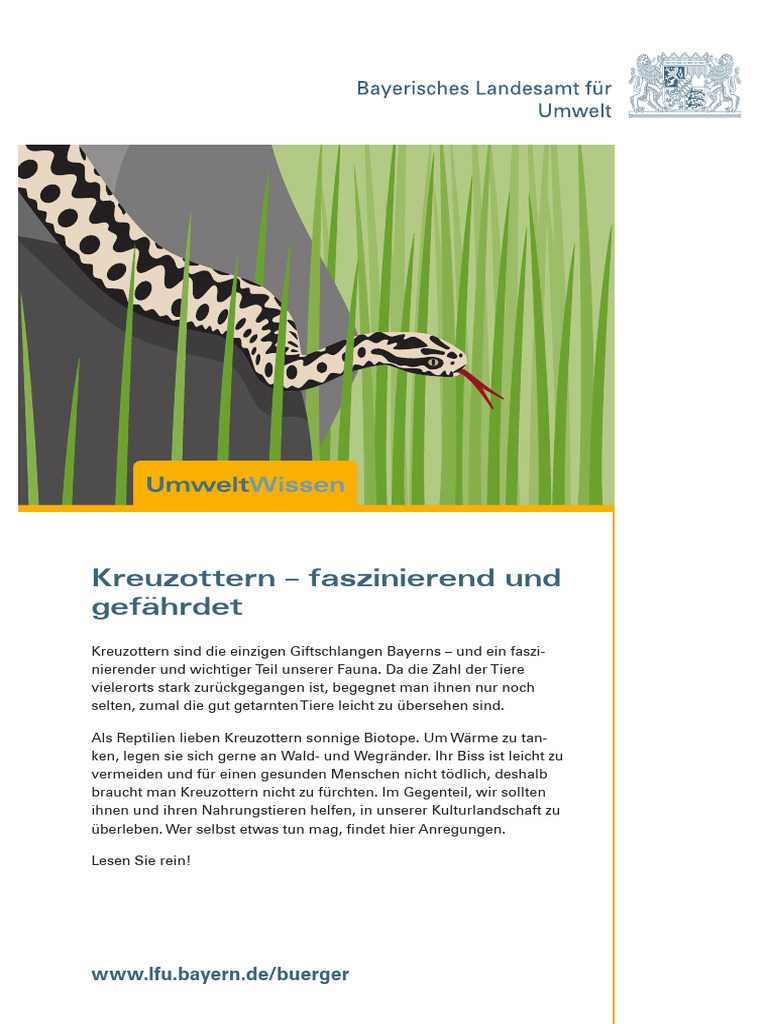 Faszinierend Schwbische Sprche Kurz Ebenbild