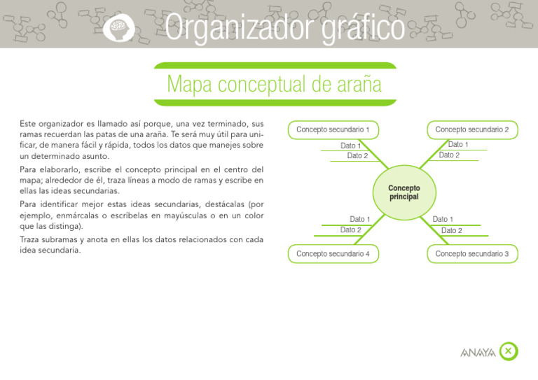 Mapa Conceptual Araña | PDF