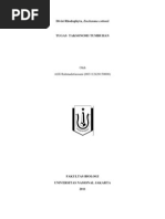 Download Divisi Rhodophyta Eucheuma cottonii by auroradanista SN76878457 doc pdf