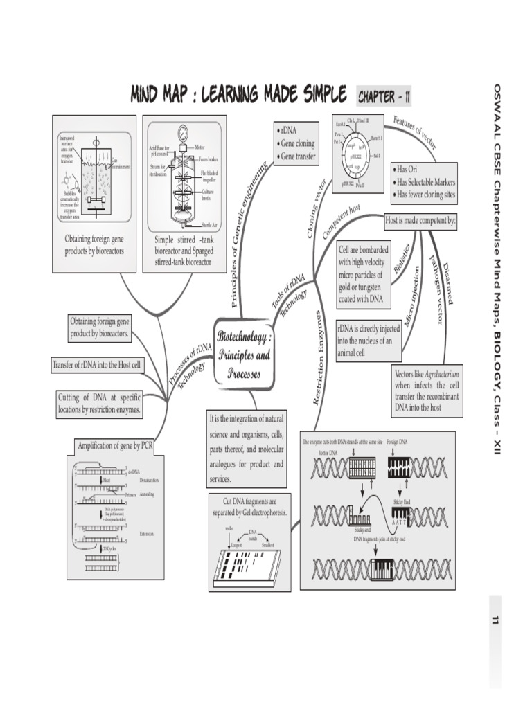 Biotechnology Principles and Processes | PDF | Recombinant Dna ...