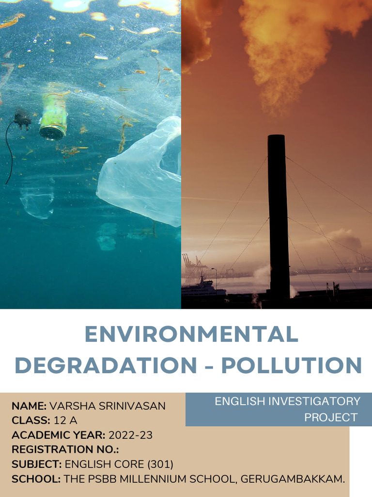 Varsha S 12131 Pollution IP | PDF
