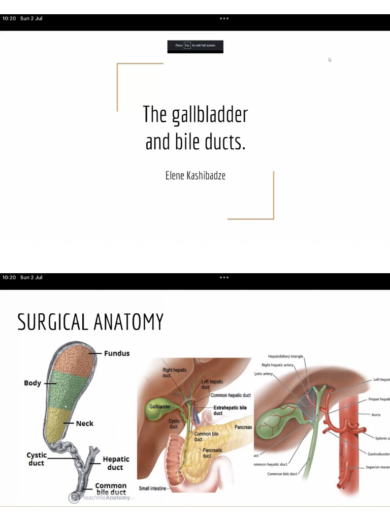 Gall Bladder | PDF