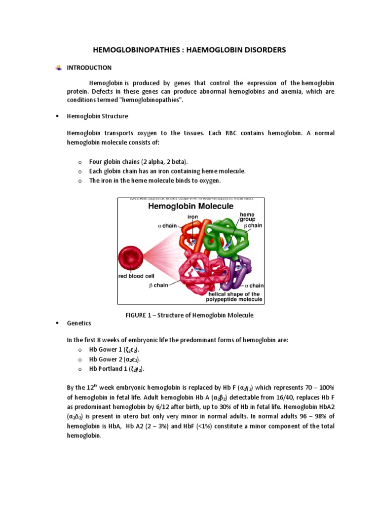 Hemoglobin Pdf Hemoglobin Molecular Biology