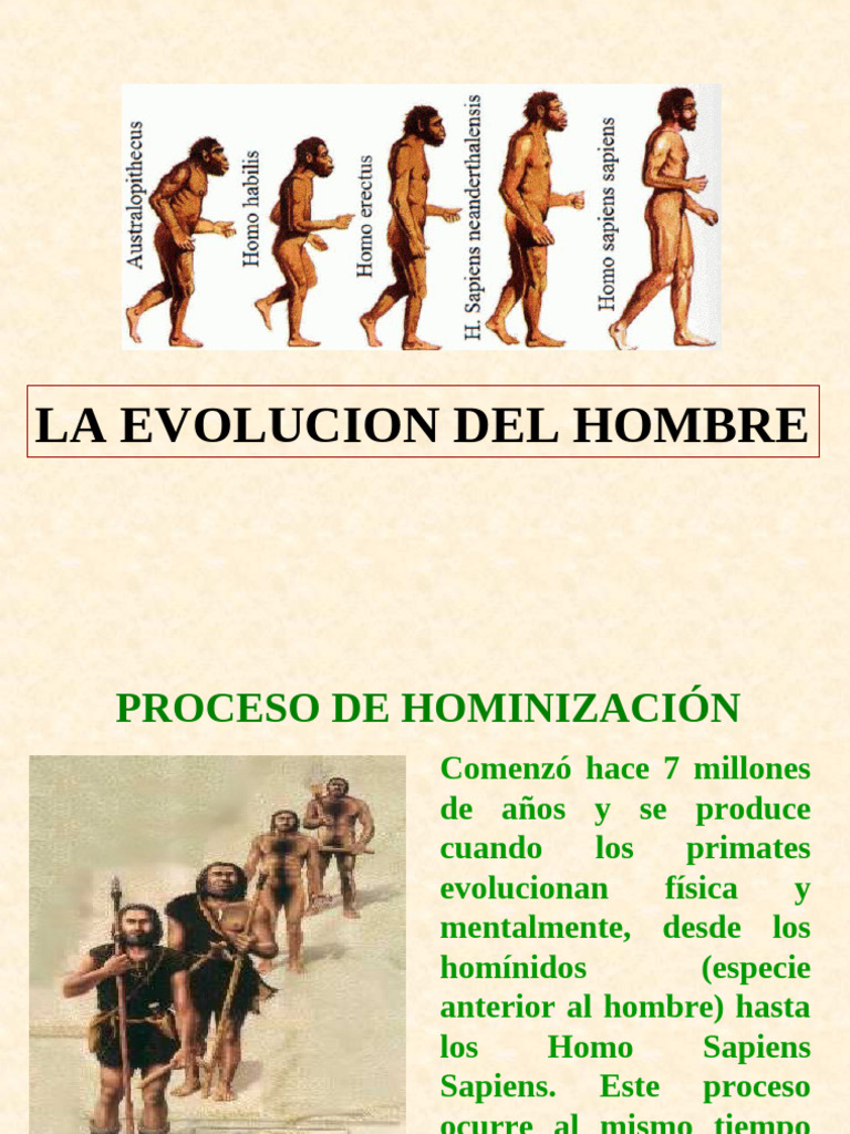 La Evolucion Del Hombre | PDF | Evolución humana | Ciencias sociales