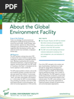 GEF-9 Programming Directions Overview | PDF | Sustainability ...