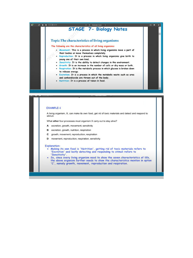 Document 1 | PDF