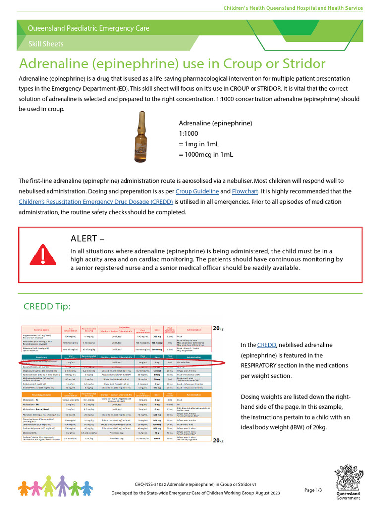 Adrenaline Use Croup | PDF