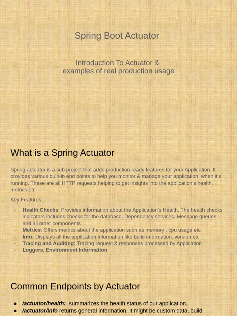 Spring Boot Actuator | PDF