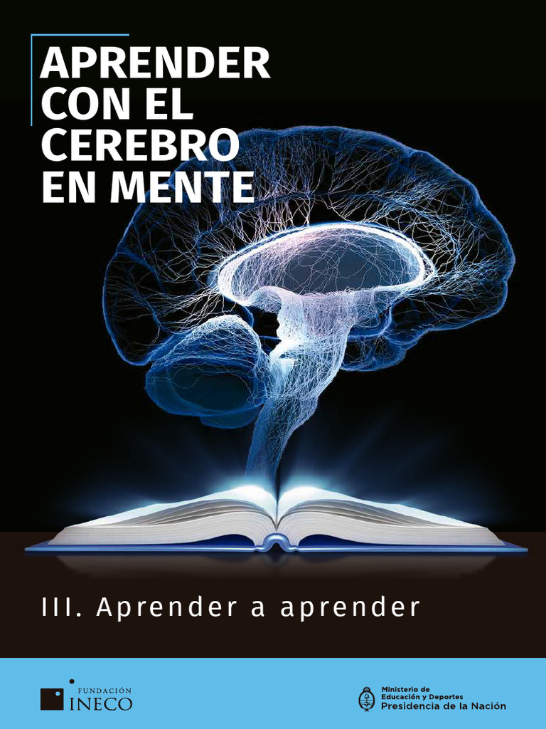 Brief 3 Aprender A Aprender Pdf