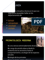 Expocicion de Primatologia