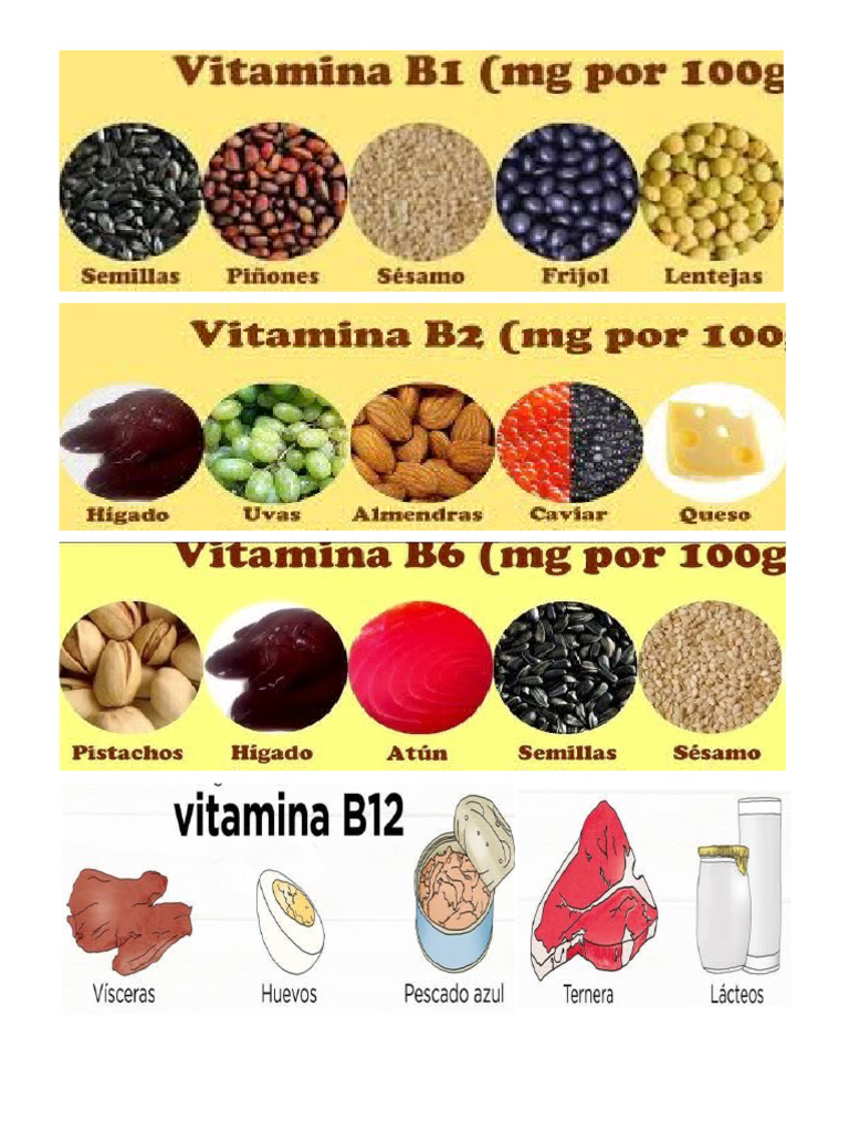 vitaminas-b1-b2-b6-b12-c-d-e-y-k-pdf