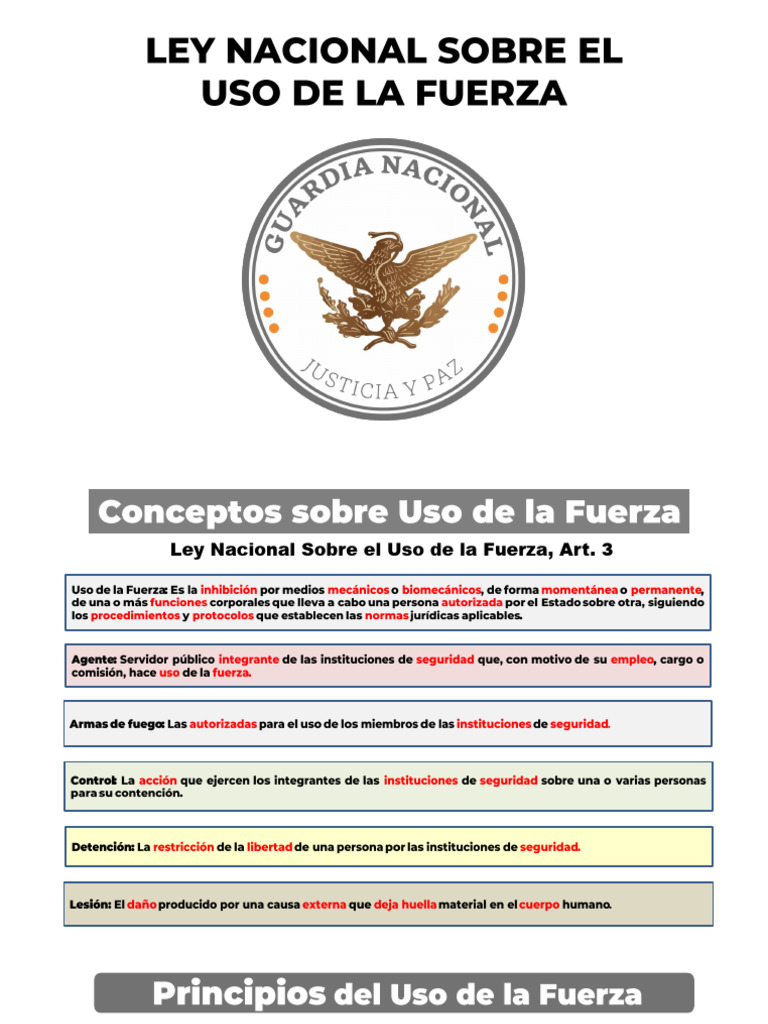 Ley Nacional Sobre El Uso de La Fuerza | PDF